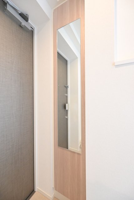 Ｌｉｖｅ　Ｃａｓａ両国Ⅱ6階 姿見