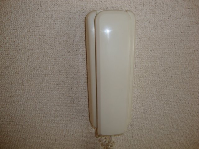 セントラルハイツ海老名105号室 インターフォン