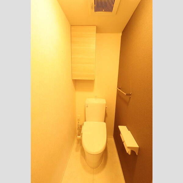 Dアセット飛田給201号室 トイレ