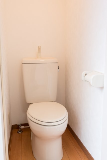 グレースベガ トイレ