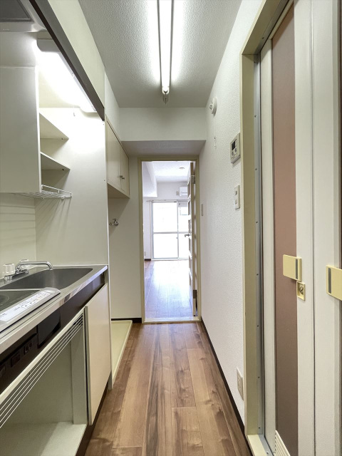 スカイコート宮崎台第4302号室 内観