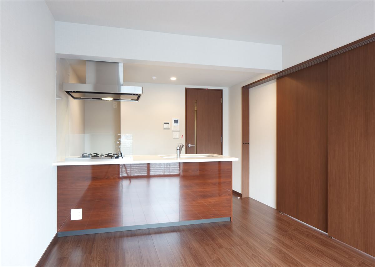 DIPS南六郷208号室 リビング