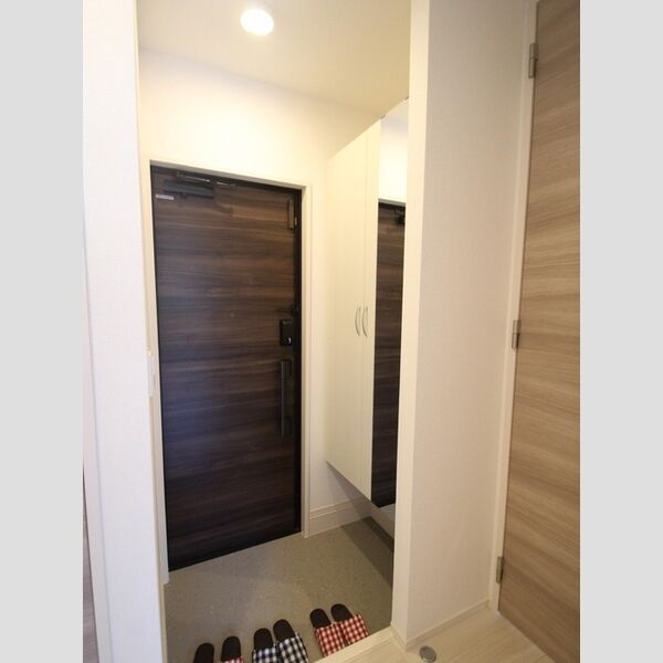 イーレクスN 玄関