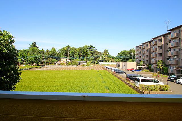 カナディアンホームⅡ2階 部屋その他