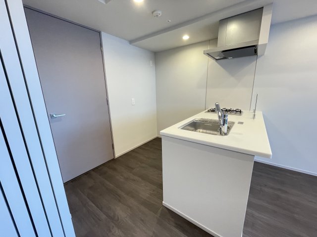 SYFORME OMIYA502号室 Btypeのお写真です（カラータイプが異なる場合がございます）