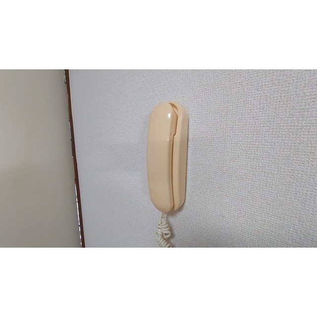 ハイムエムティー１0105号室 部屋その他