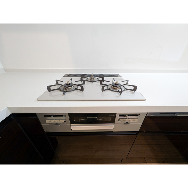 オーパスホームズ白山0402号室 コンロ