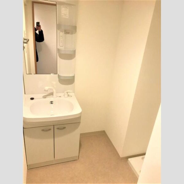 S-FORT船橋海神East407号室 洗面