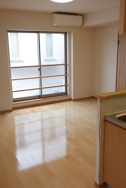 メゾン・ド・コフレ自由が丘Ⅰ0307号室 リビング