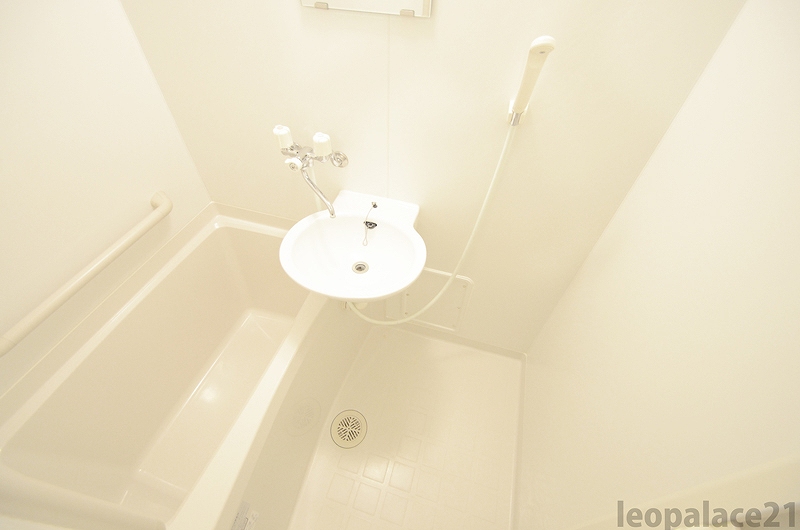 レオネクストカイトネストⅡ202号室 同建物別部屋の参考画像