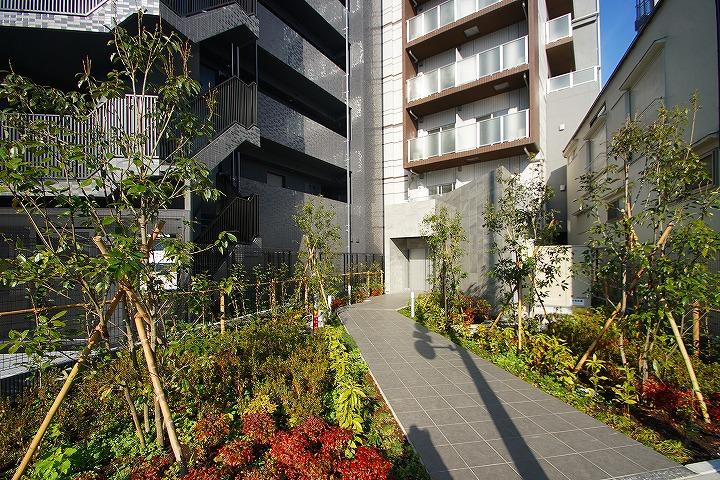 AR向島11階 その他