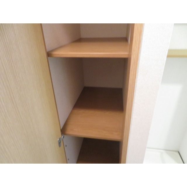 ルビナス・ウエストパレス0203号室 玄関収納