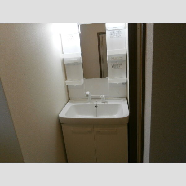 センチュリー・ハイツ202号室 洗髪洗面化粧台