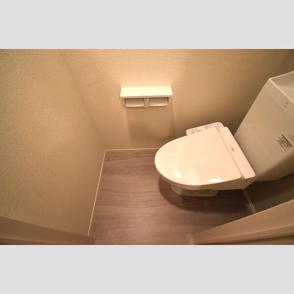 Dスクエア本町301号室 トイレ