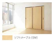 Bon Lyon　（ボンリヨン）102号室 内装カラー（イメージ）