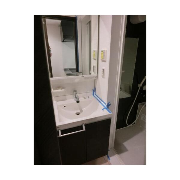 パルトネール戸越301号室 洗面