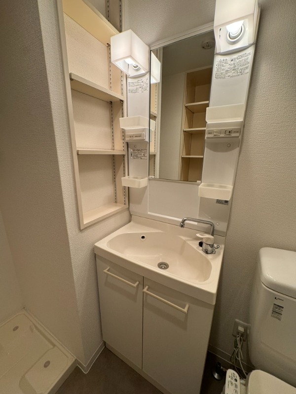 ルームス市川(E-073)2階 洗面