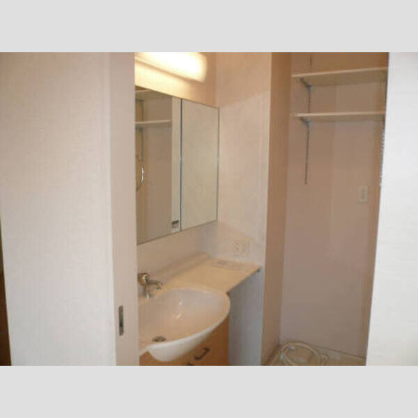 プルメリア 洗面