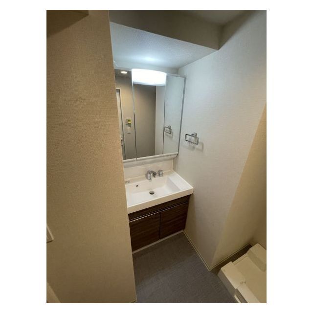 ドゥーエ亀戸Ⅱ1001号室 内観