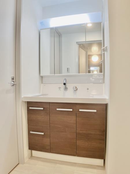 Ｓｏｌｅａｄｏ早稲田5階 洗面