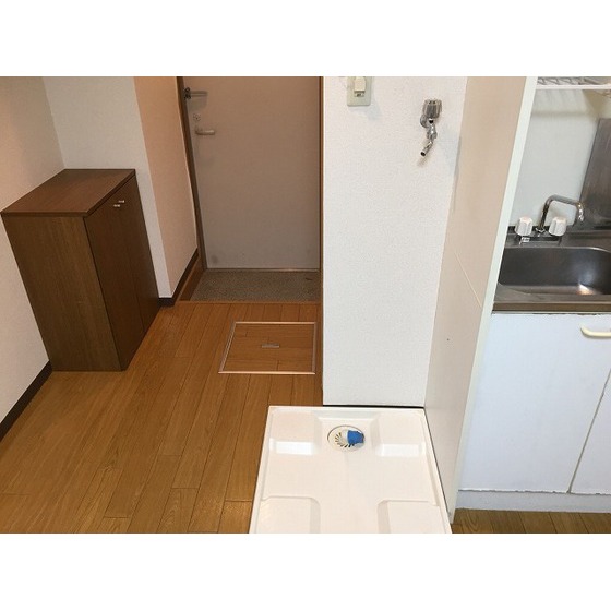 ダイヤモンドレジデンス北大塚0203号室 室内洗濯機置場