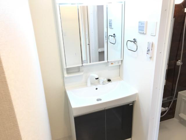 サン・サルーテ201号室 洗髪洗面化粧台（イメージ）