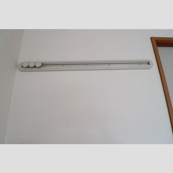 ロイヤルガーデン　B101号室 ハングバー