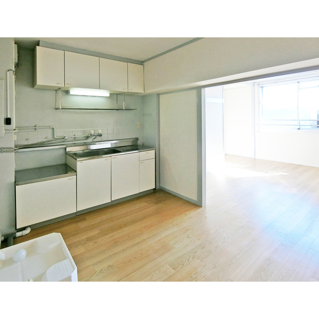 メゾン・ド・メルシー0907号室 キッチン