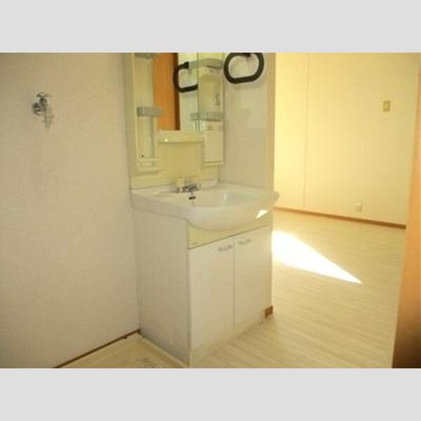 グリーンヒルズ　F棟203号室 洗面台