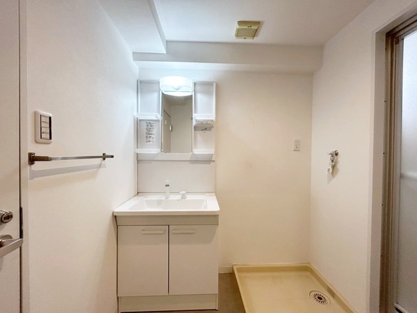 ハイム下鶴間502号室 洗面