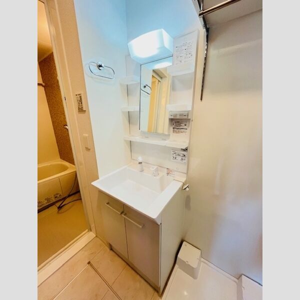 ブリーズコースト夕陽ヶ丘101号室 洗髪洗面化粧台