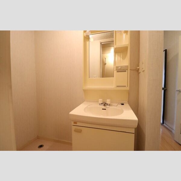 リバティヒル　A102号室 洗面化粧台