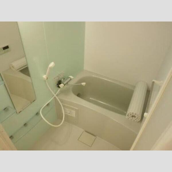 ラフィシア202号室 浴室