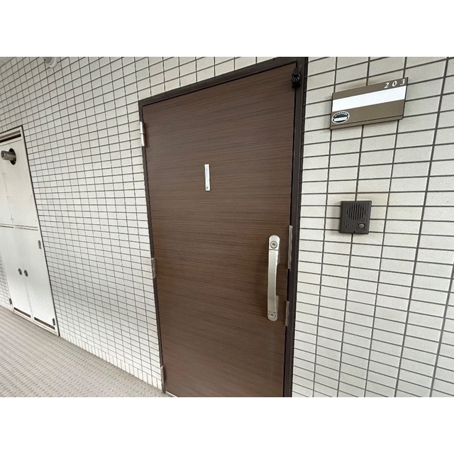 ルミエール岸町203号室 玄関
