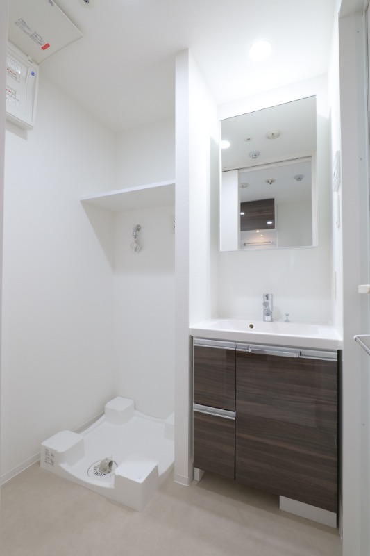 ブライズ東池袋 洗面