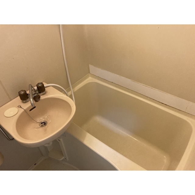 ブラウン第4103号室 お風呂