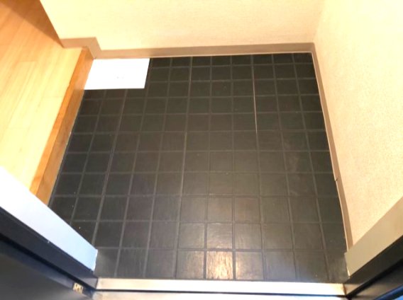 ワコーレエレガンス四ツ木403号室 玄関