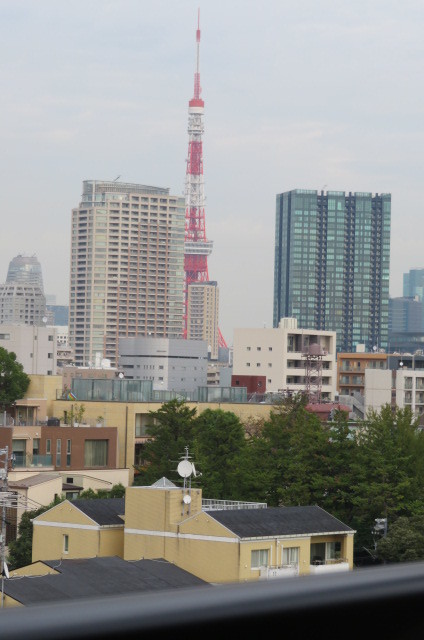 グランド・ガーラ南麻布10階 展望