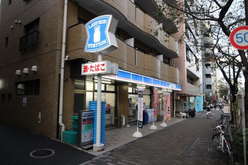 パレステュディオ広尾 【コンビニエンスストア】ローソン 広尾南店まで46ｍ