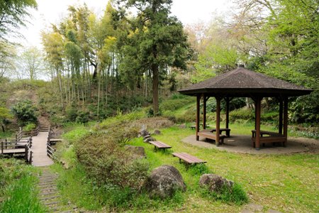 笹山団地 【公園】新井町公園まで744ｍ
