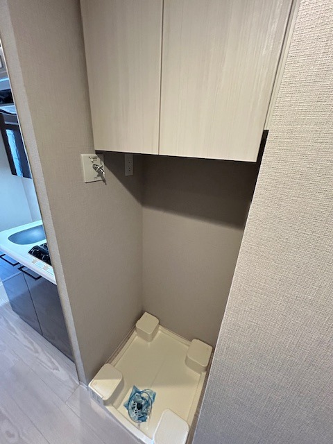 レジディア南品川プレイス9階 洗濯機置場