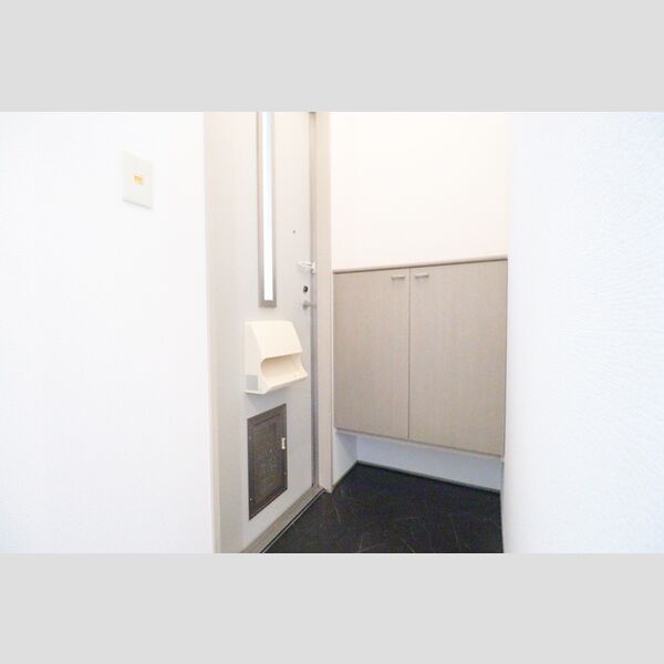 ヴィラアルテミス 玄関