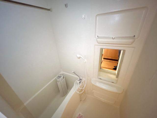 スプリングウィンド バス