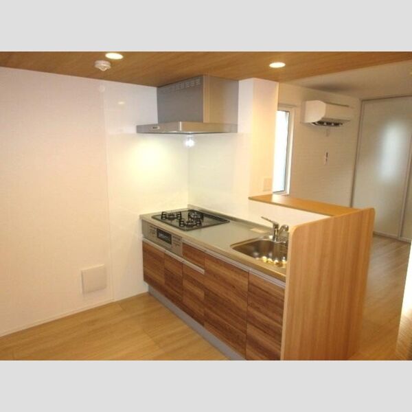 アンジュール坂下203号室 キッチン流し台