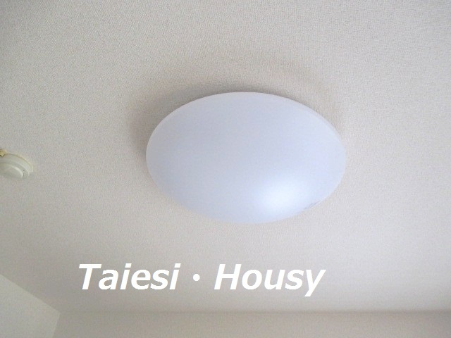 リバーサイドハイツ湘南0604号室 照明