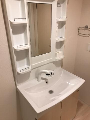 メゾン・ド・アイリス 洗髪洗面化粧台