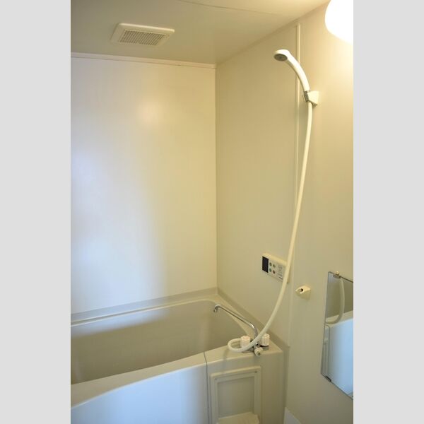 エントピアマルオカ202号室 バスルーム