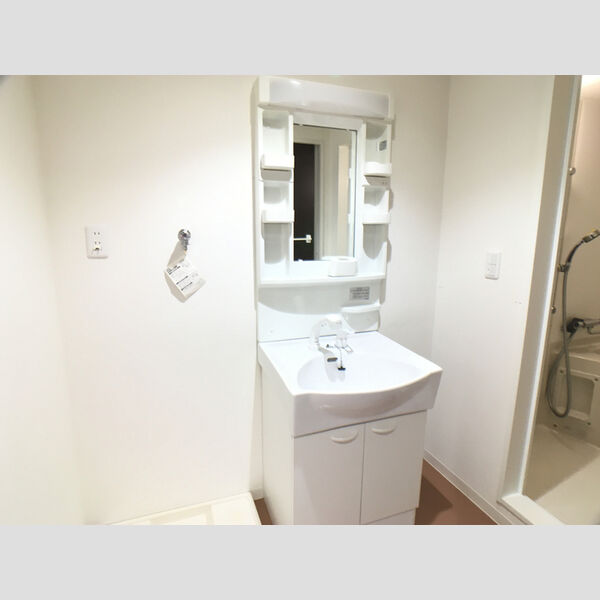 ジ・エレガンス城山 洗髪洗面化粧台です。