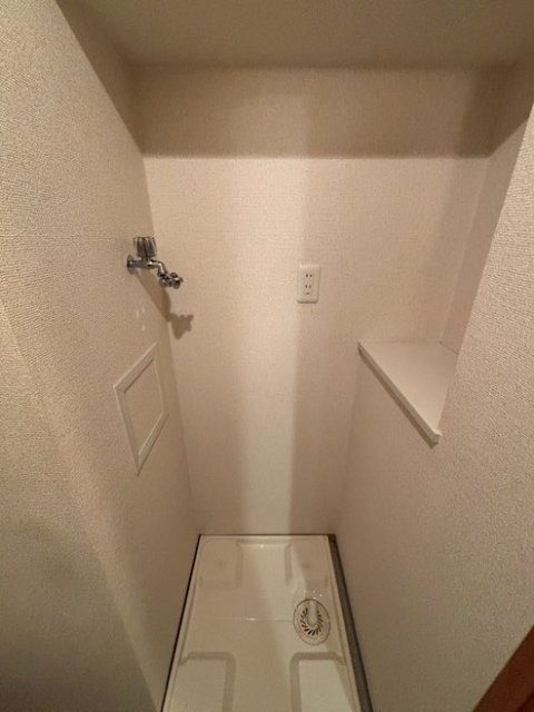 グランド・ガーラ西新宿Ｅａｓｔ 室内洗濯機置場