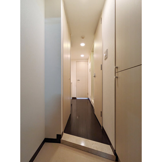 トーシンフェニックス新横濱イクシール714号室 玄関